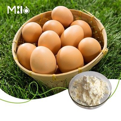 Púdar Albam Bán Uibheacha